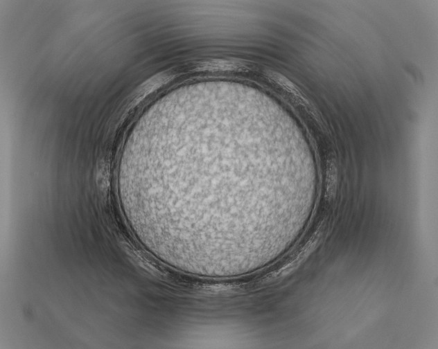 X0000112431017200909111026