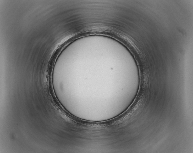 X0000112431018200909111026