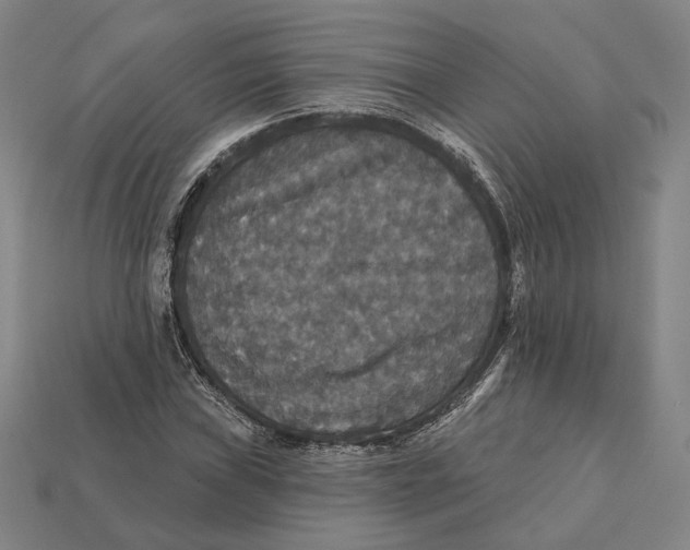 X0000112431019200909111026