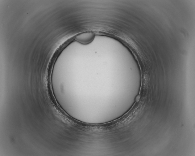 X0000112431020200909111026