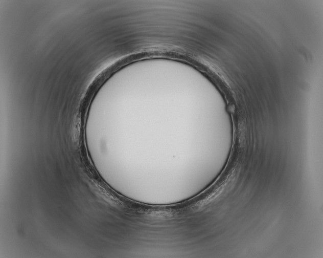 X0000112431021200909111026