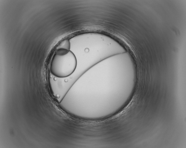X0000112431022200909111026