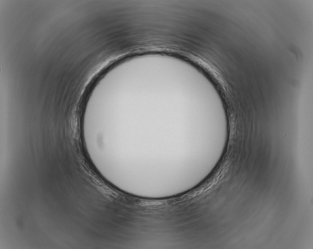 X0000112431023200909111026