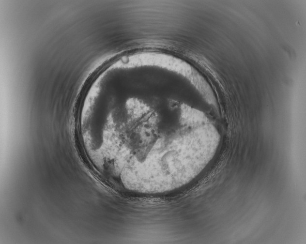 X0000112431024200909111026