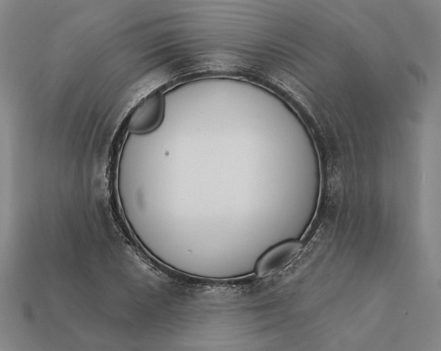 X0000112431026200909111026