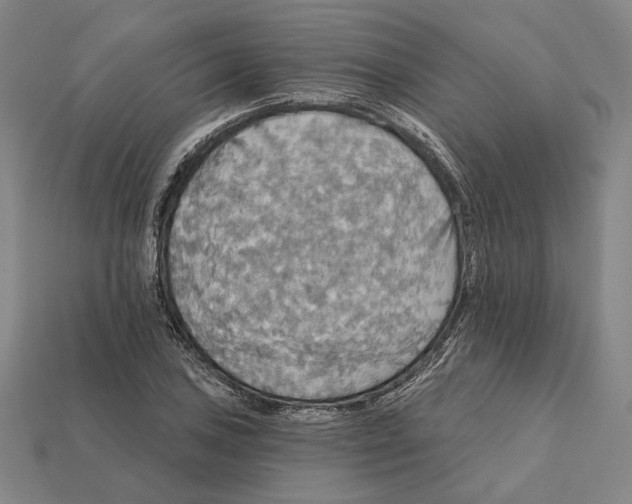 X0000112431027200909111026
