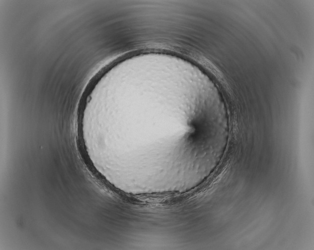 X0000112431028200909111026