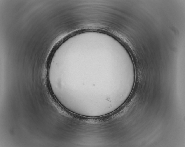 X0000112431029200909111026