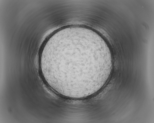 X0000112431030200909111026