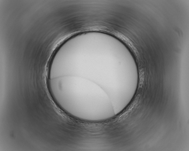 X0000112431031200909111026
