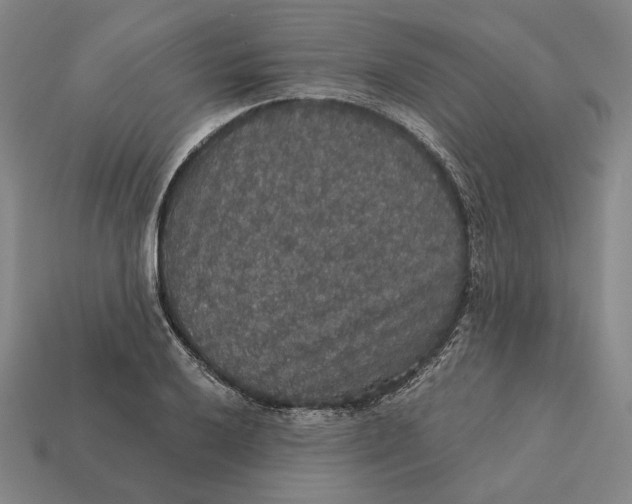 X0000112431032200909111026