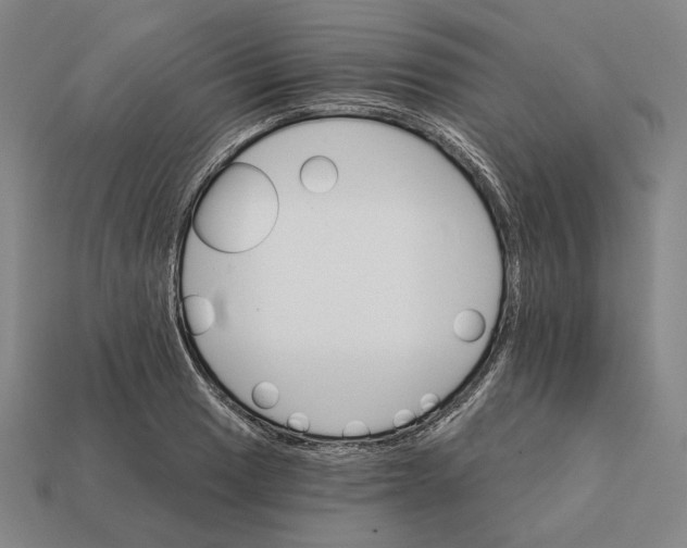 X0000112431033200909111026