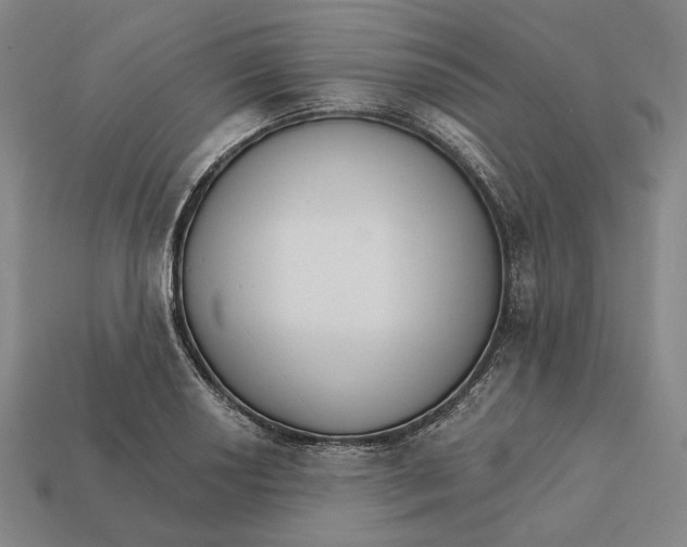 X0000112431034200909111026