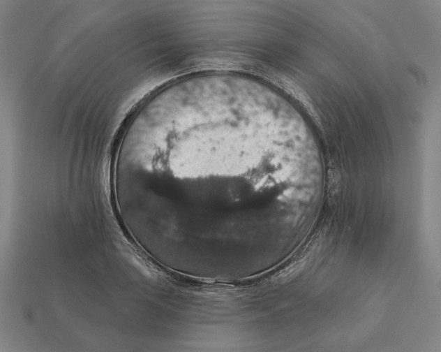 X0000112431035200909111026