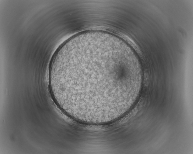 X0000112431036200909111026