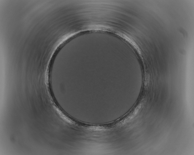 X0000112431037200909111026