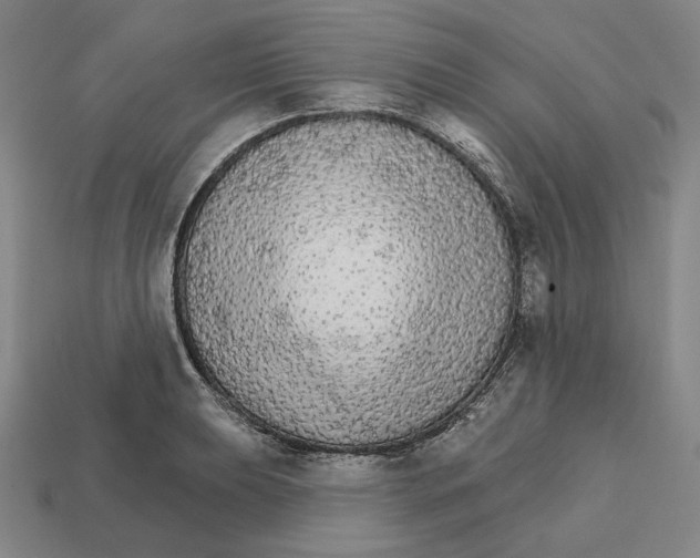X0000112431039200909111026