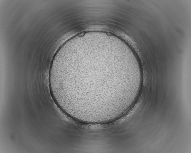 X0000112431041200909111026