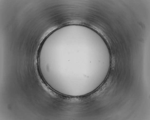 X0000112431042200909111026