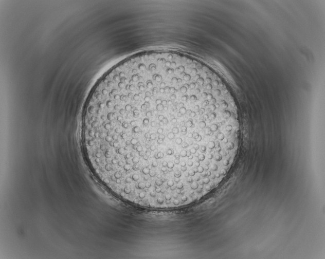 X0000112431044200909111026