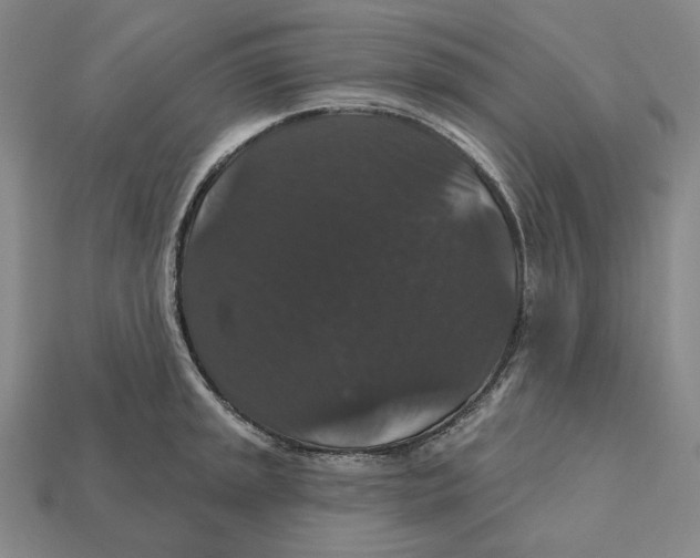 X0000112431045200909111026
