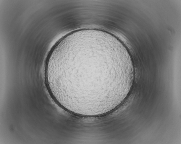 X0000112431046200909111026