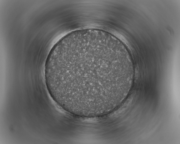 X0000112431047200909111026
