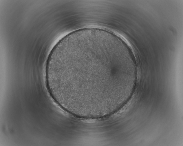 X0000112431048200909111026