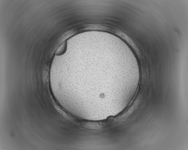 X0000112431049200909111026
