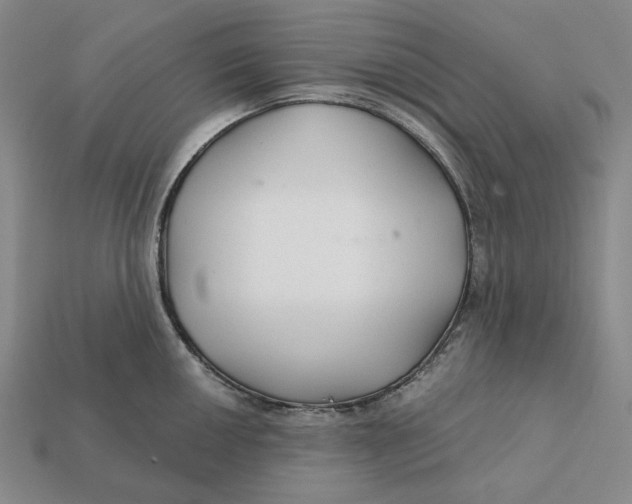 X0000112431050200909111026