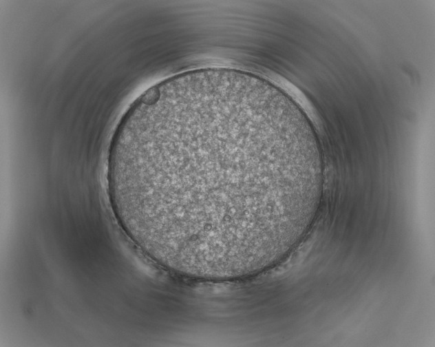X0000112431051200909111026