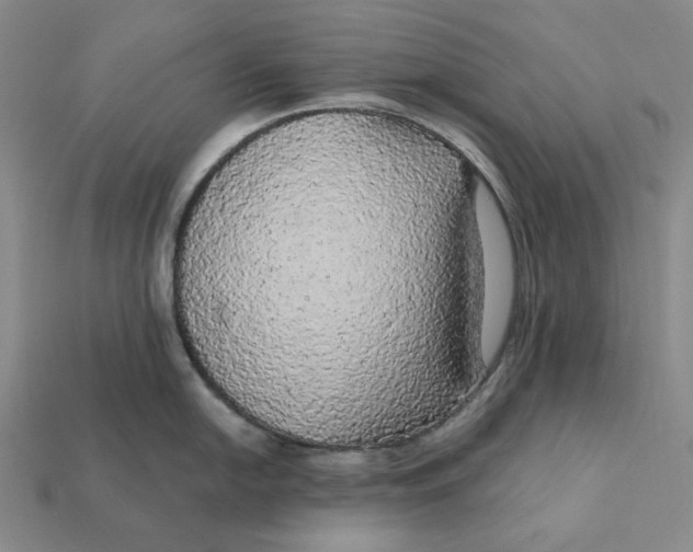X0000112431054200909111026