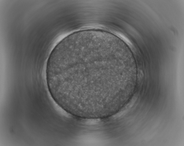 X0000112431055200909111026