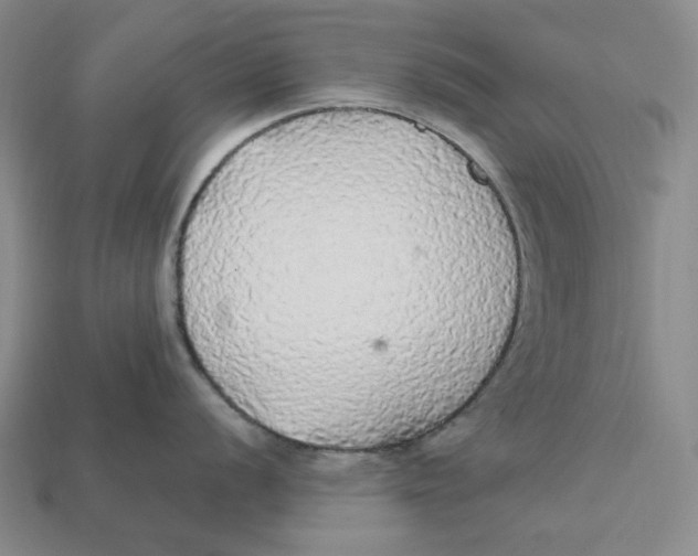 X0000112431056200909111026