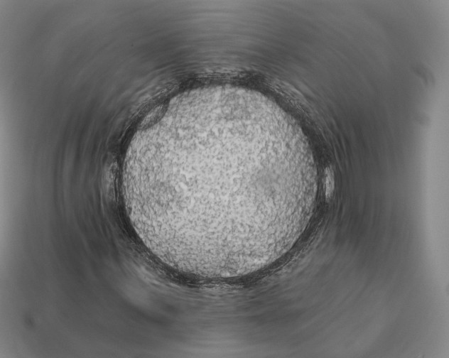 X0000112431059200909111025