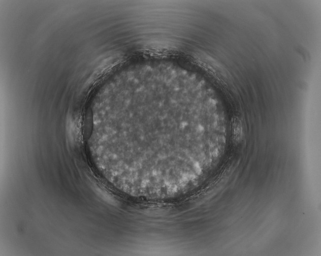 X0000112431060200909111025