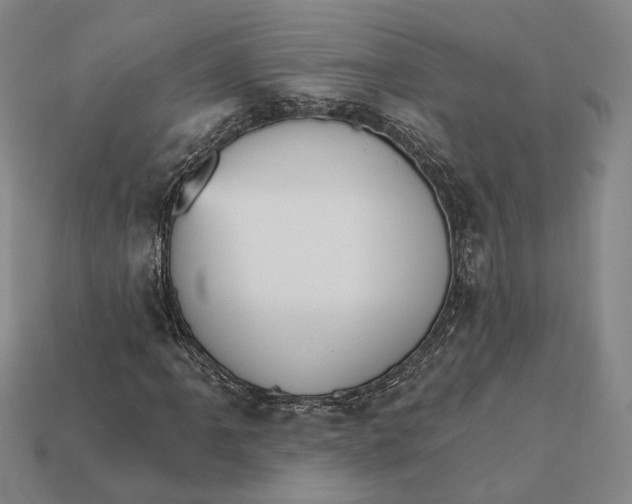 X0000112431061200909111025