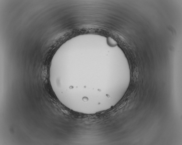 X0000112431062200909111025