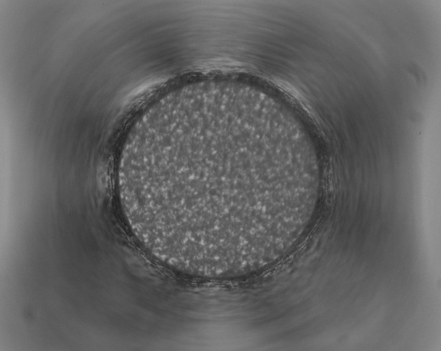 X0000112431063200909111025