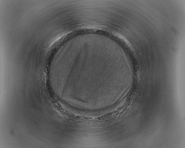 X0000112431064200909111025