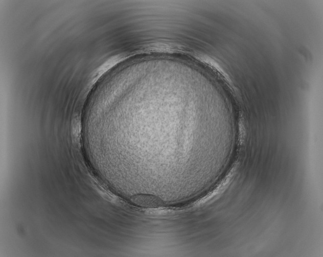 X0000112431065200909111025