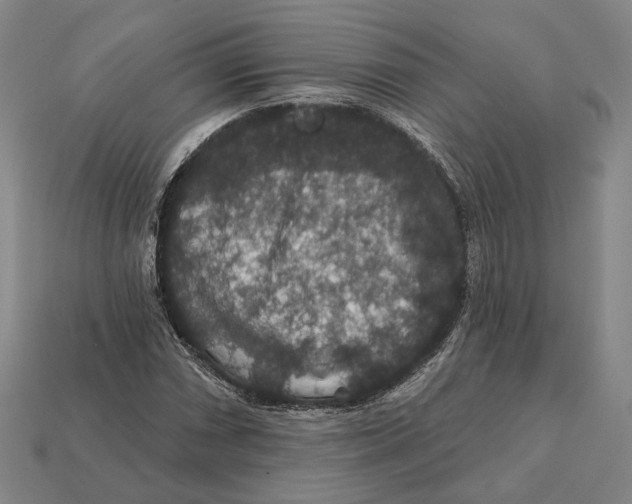 X0000112431066200909111025