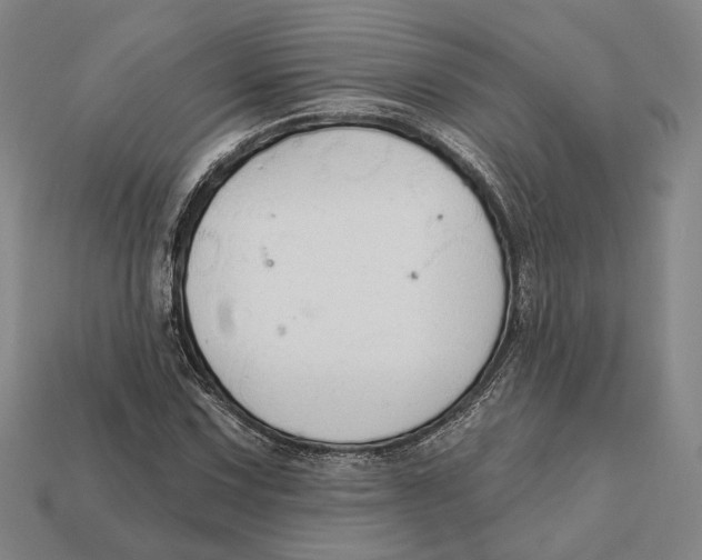X0000112431067200909111025