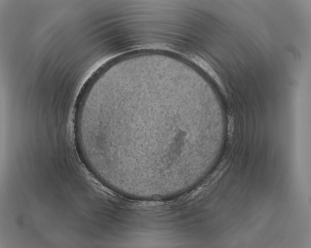 X0000112431068200909111025