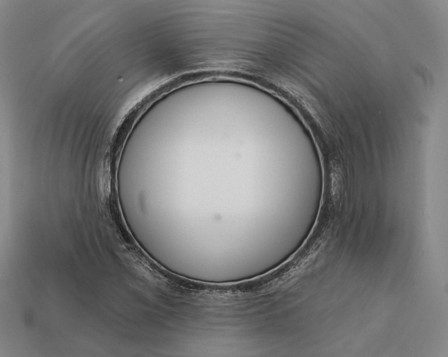X0000112431069200909111025