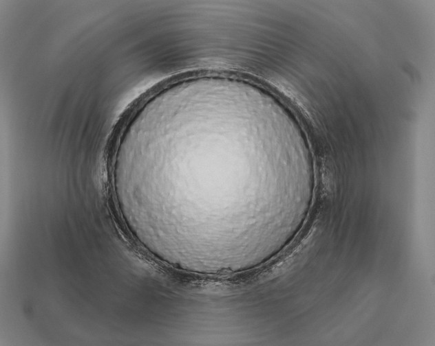 X0000112431070200909111025