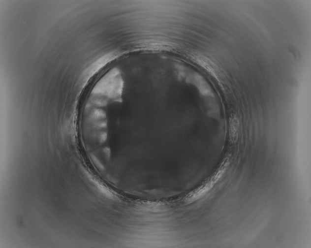 X0000112431071200909111025