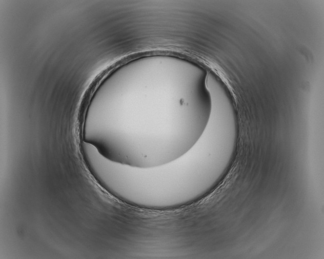 X0000112431072200909111025