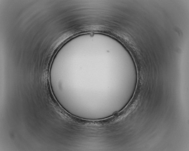 X0000112431073200909111025