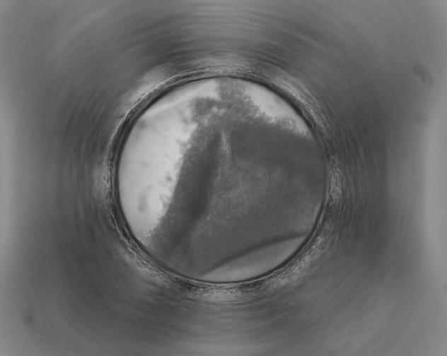 X0000112431074200909111025